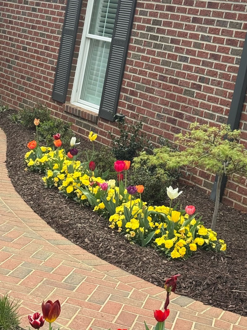 Green Dreams Landscaping