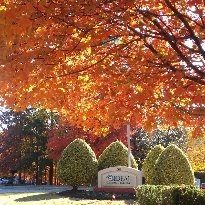 Ideal Landscaping, Inc.