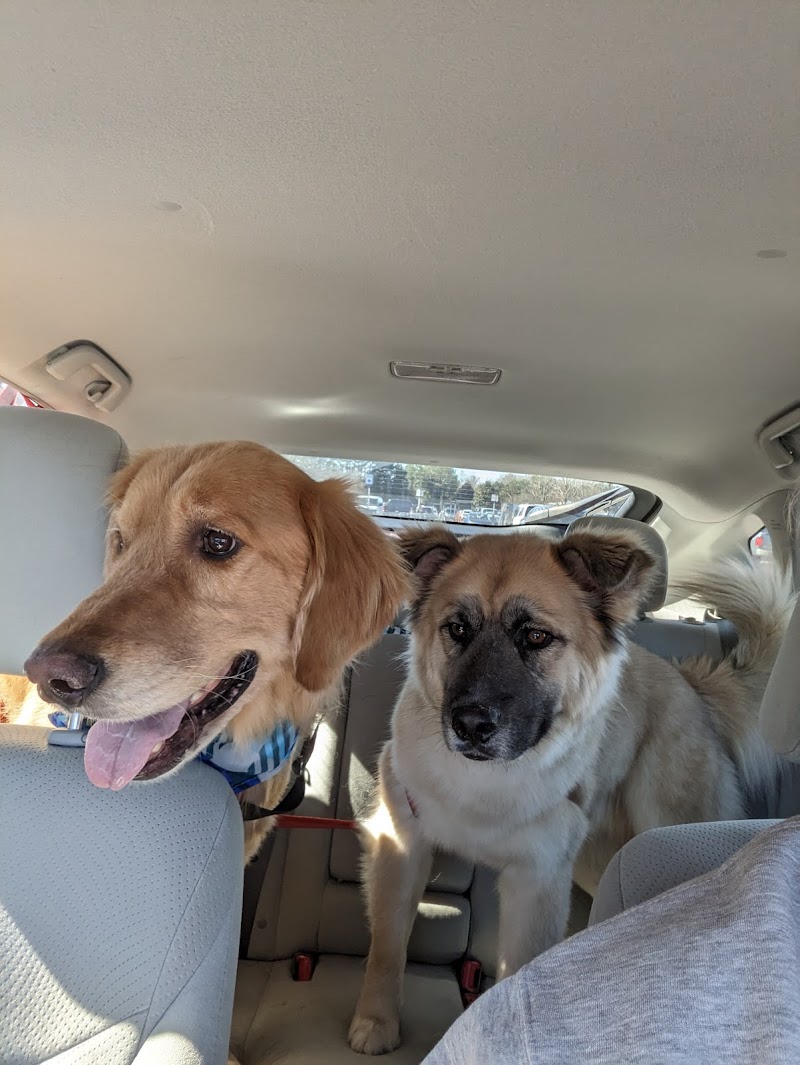 PetSmart Grooming