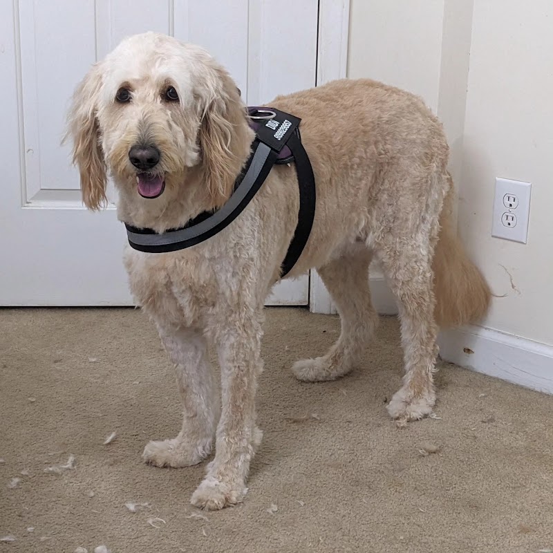 The Happy Hound